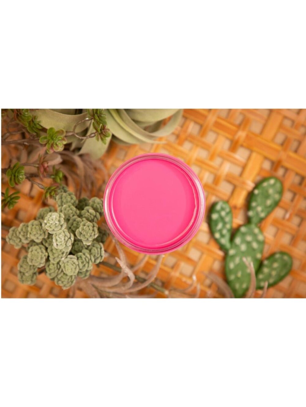 New Sealed Prickly Pear Dixie Belle Silk All-in-One Mineral Paint 16oz